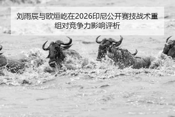 刘雨辰与欧烜屹在2026印尼公开赛技战术重组对竞争力影响评析